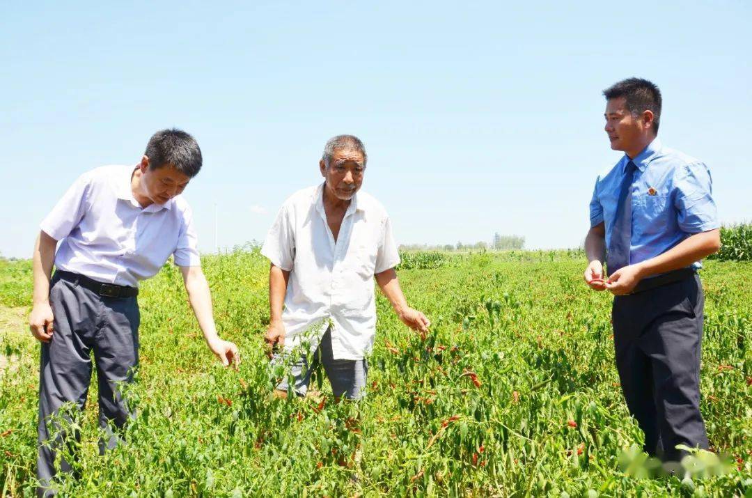 【脱贫攻坚】毛集村:脱贫攻坚路上的那抹检察蓝