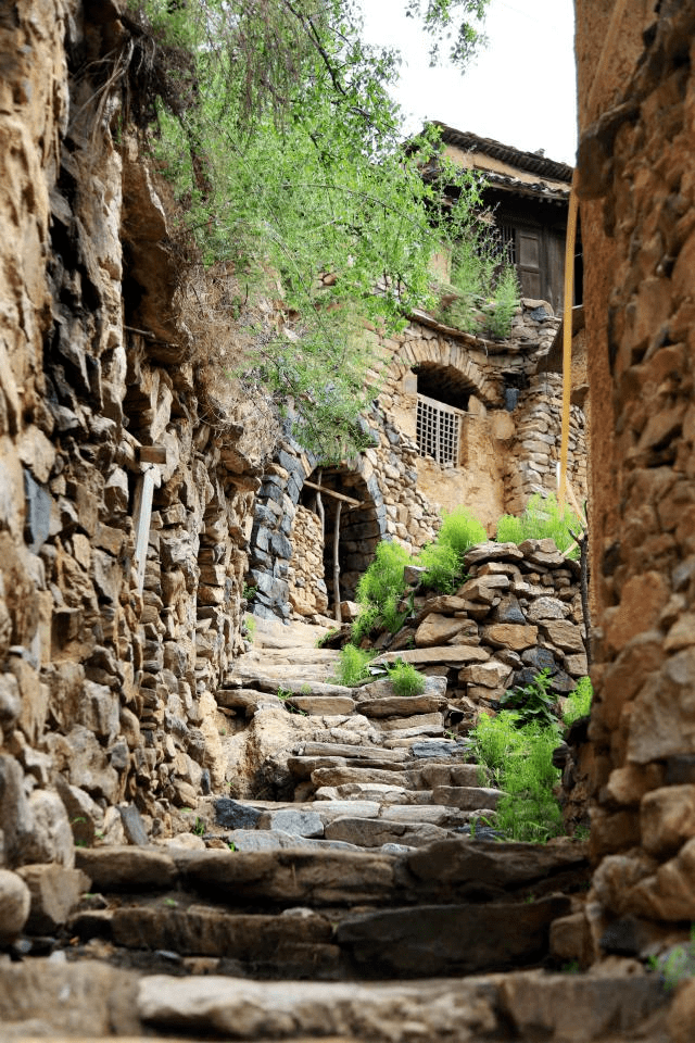 古村石阶小巷——大汖古村金牌导游(讲解员) 鲍亚楠【游览提示】1.