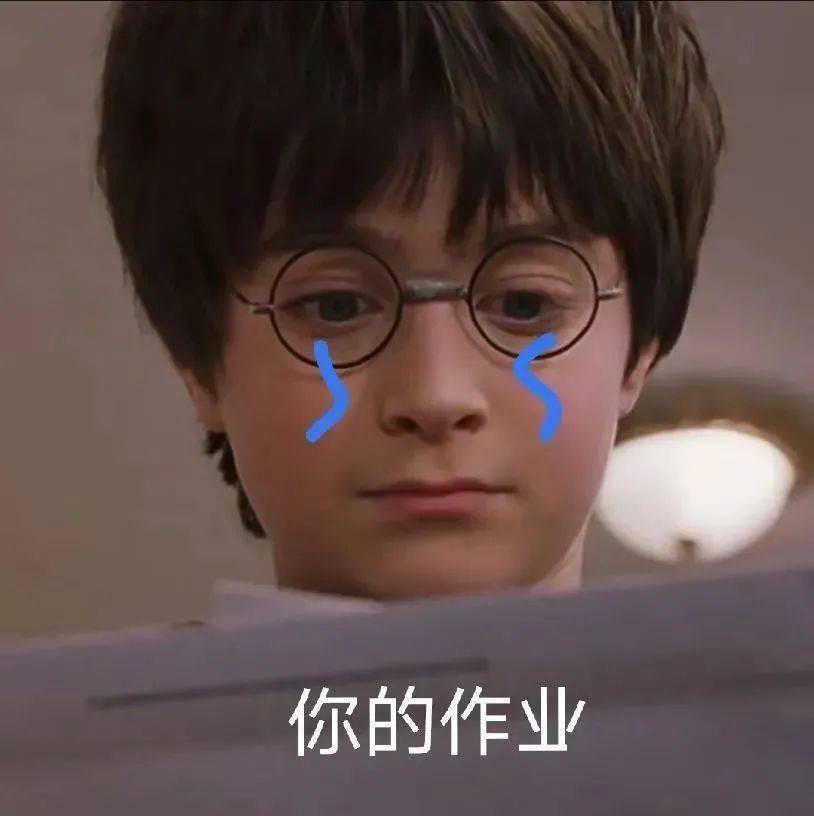 哈利波特表情包今天不学习明天变垃圾