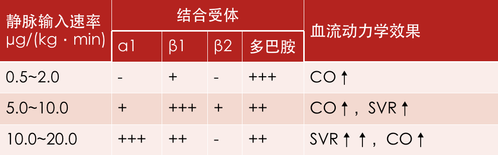 小剂量多巴胺改善肾血流利尿合剂究竟有没有用