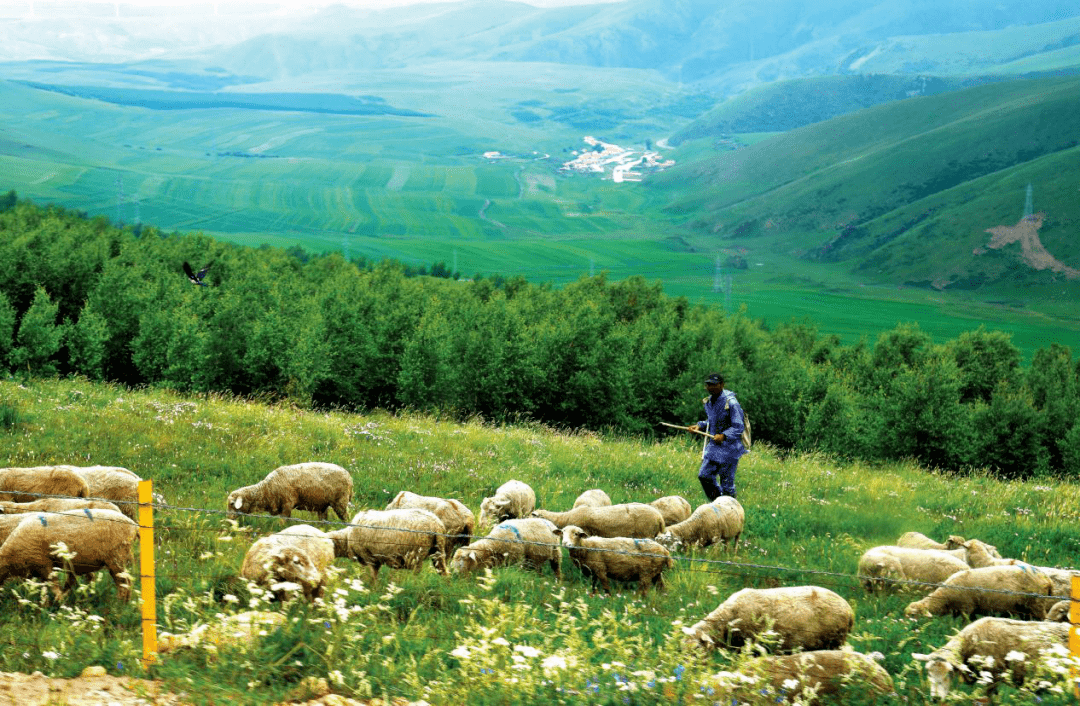 搭平台,引政策,优机制,多举措让蒙东三旗硕果累累