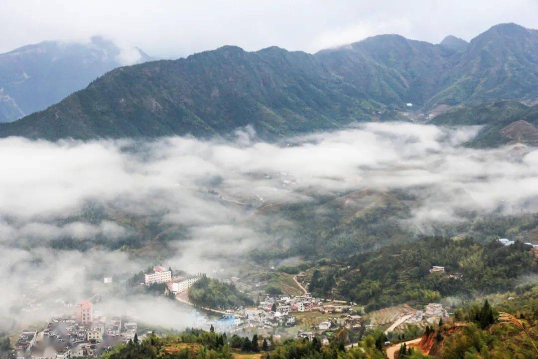 营盘圩乡抓住获评为全国森林康养基地建设试点乡契机,将森林康养