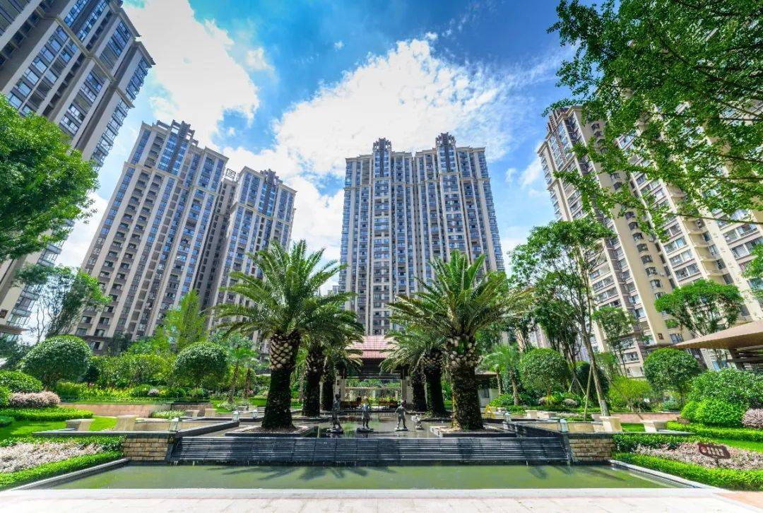 邦主人物志内江新浪乐居总经理张正峰振翅长空雄鹰没有迷途路