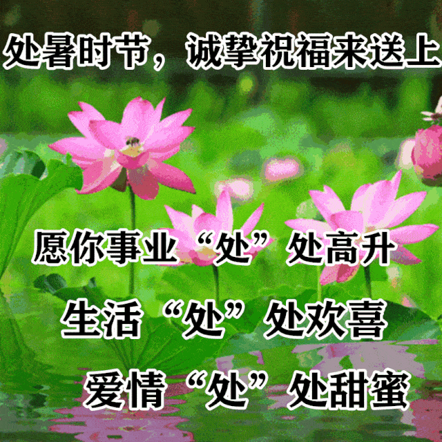 8月22日处暑最漂亮动态表情图片大全