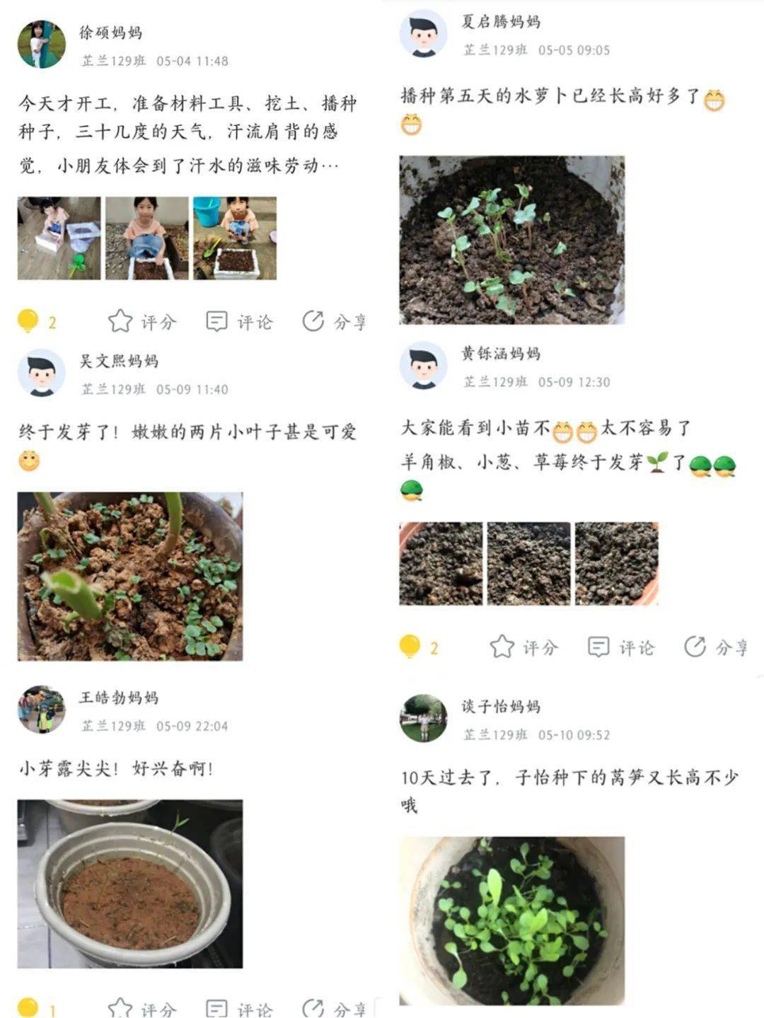 麟:黄瓜周维亚:木耳菜王辰语:黄瓜李劲熙:木耳菜王欣谊:空心菜罗钰清