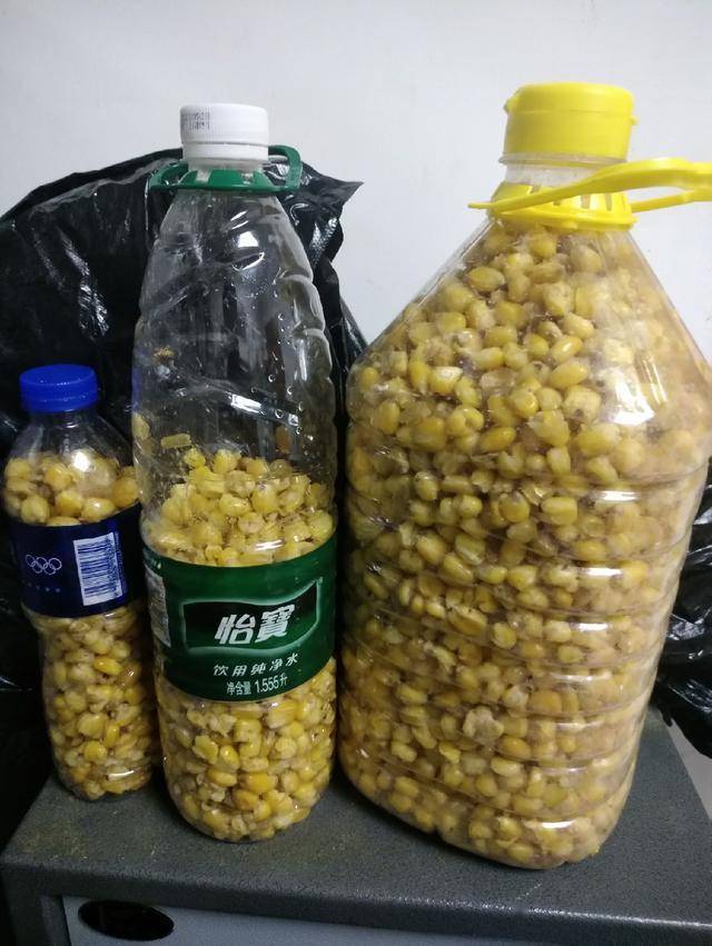 饵料:西部风老坛玉米 自己泡制的发酵玉米 巨无霸单开.