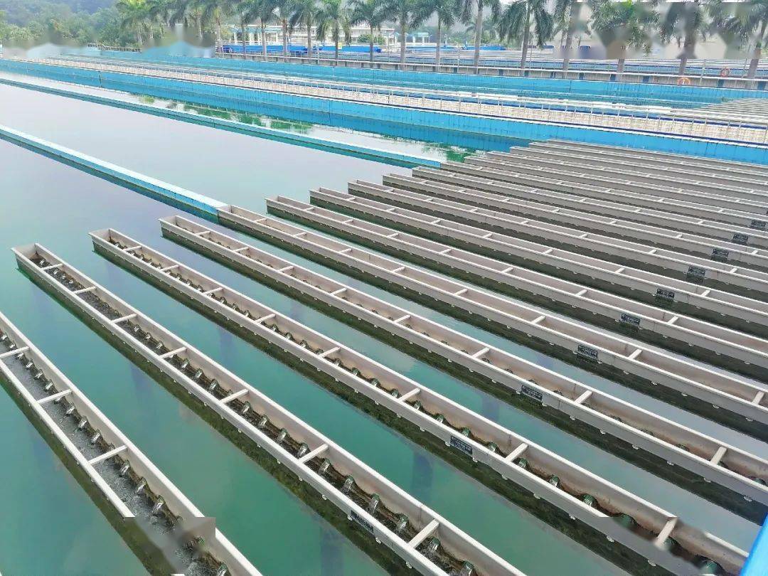 城市生命线 我们来守护丨江门公用水务全力迎战高峰供水,确保盛夏用水