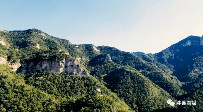 微视频涉县黄花山森临其境乐享自然