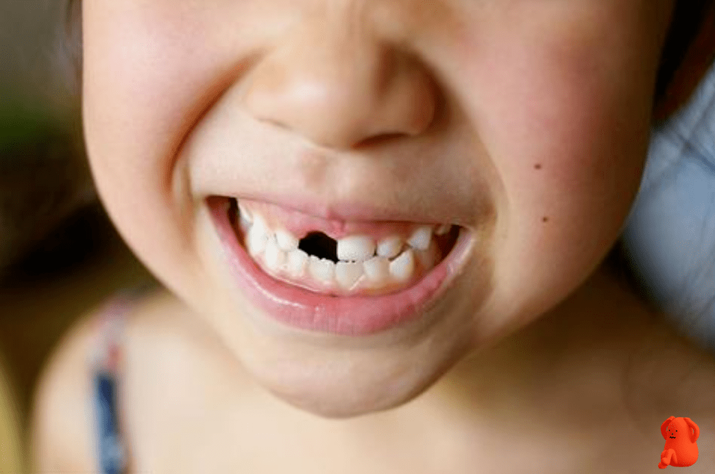 儿童鲨鱼牙齿图片图片