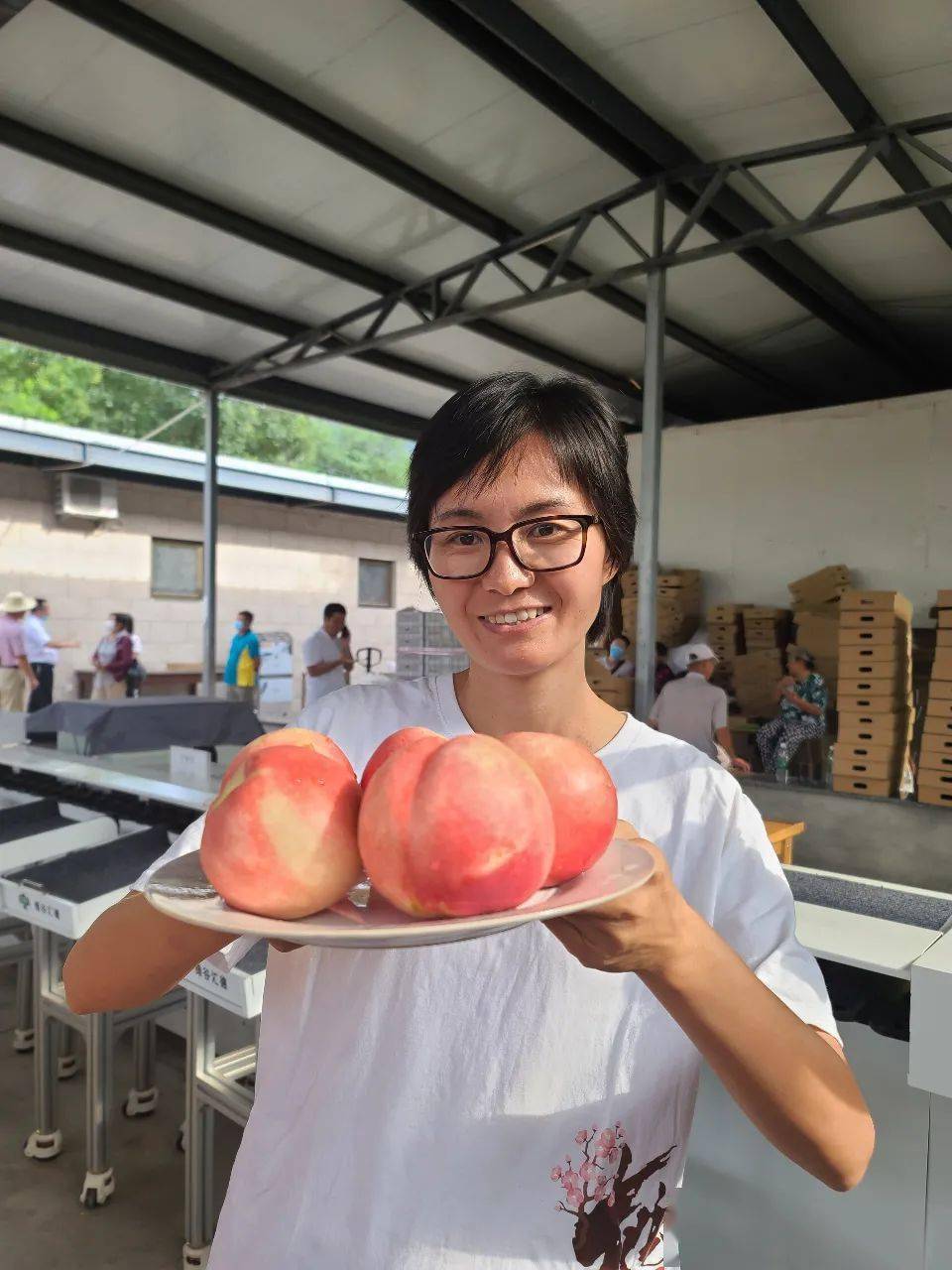 求是记者 申小提/摄北京市平谷区是中国著名的大桃之乡,有着"山水平谷