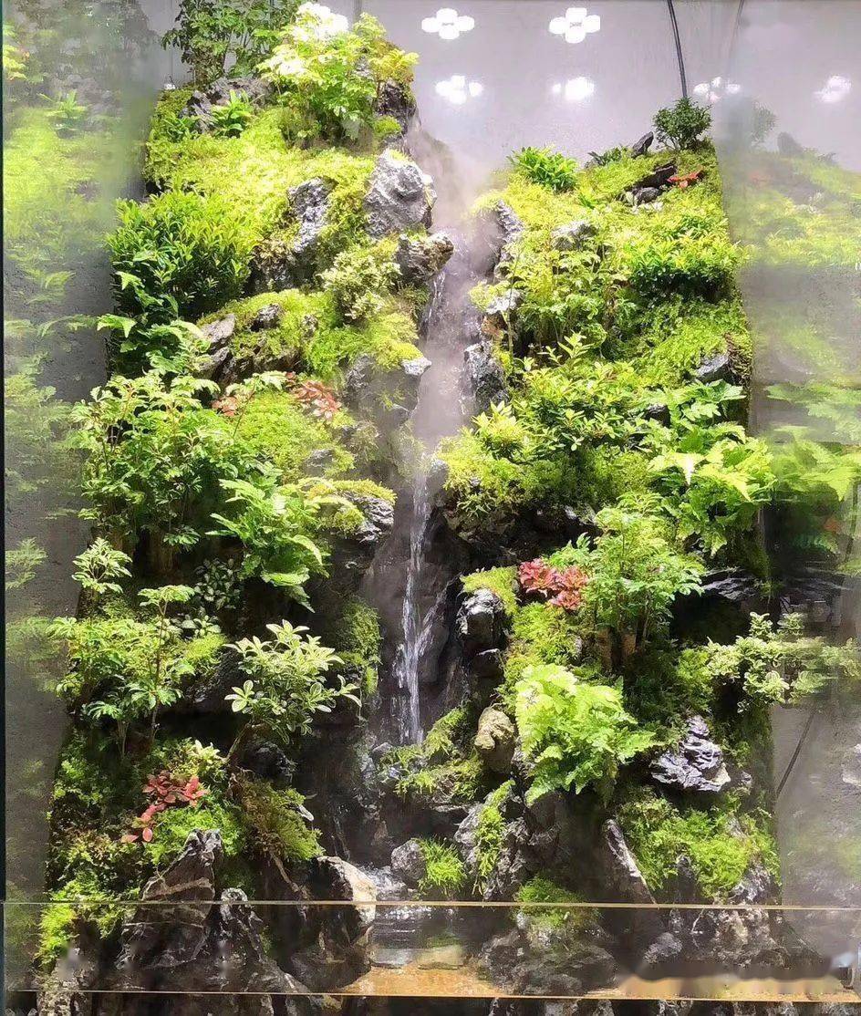 全球顶尖苔藓缸造景作品