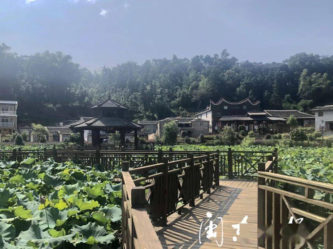 投入近1000多万元,霞浦涌山村成特色村落