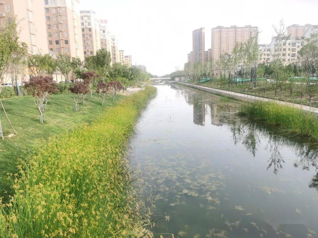 郸城洺河的昨天和今天