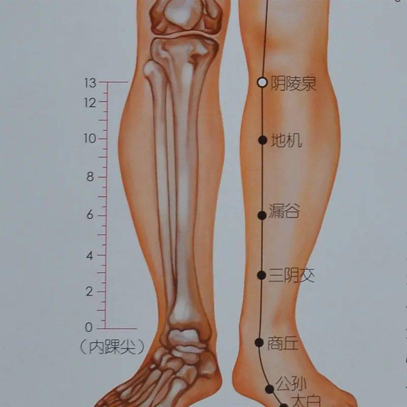 针灸大腿减肥示意图图片