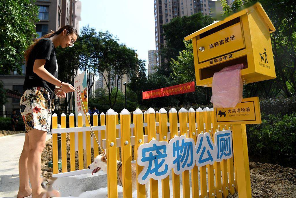 合肥:宠物公厕亮相居民小区