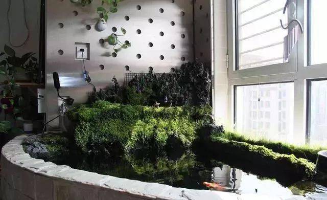 折腾房子虽小却困不住一颗养鱼的心阳台自建1米7扇形鱼池