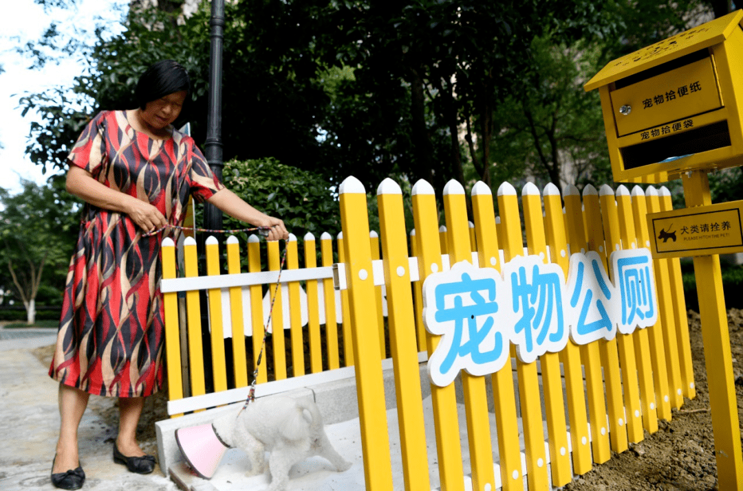 瑶海:宠物公厕亮相居民小区