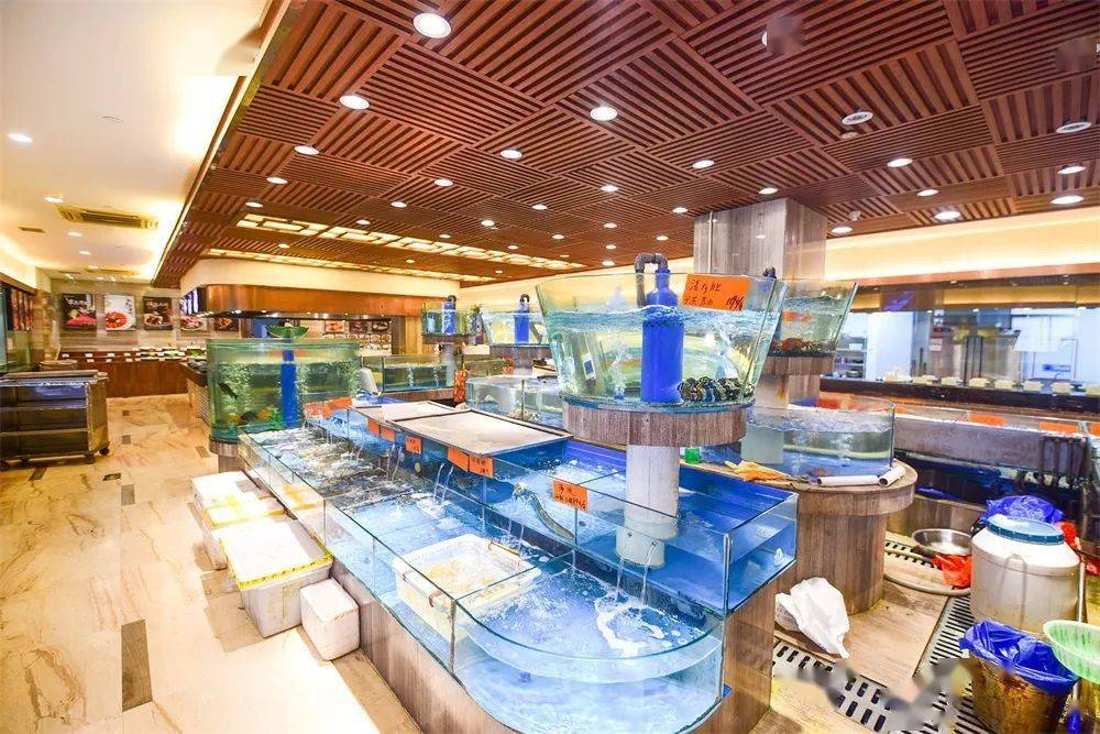 玉环新开高端海鲜火锅,人均200 !全是硬货!