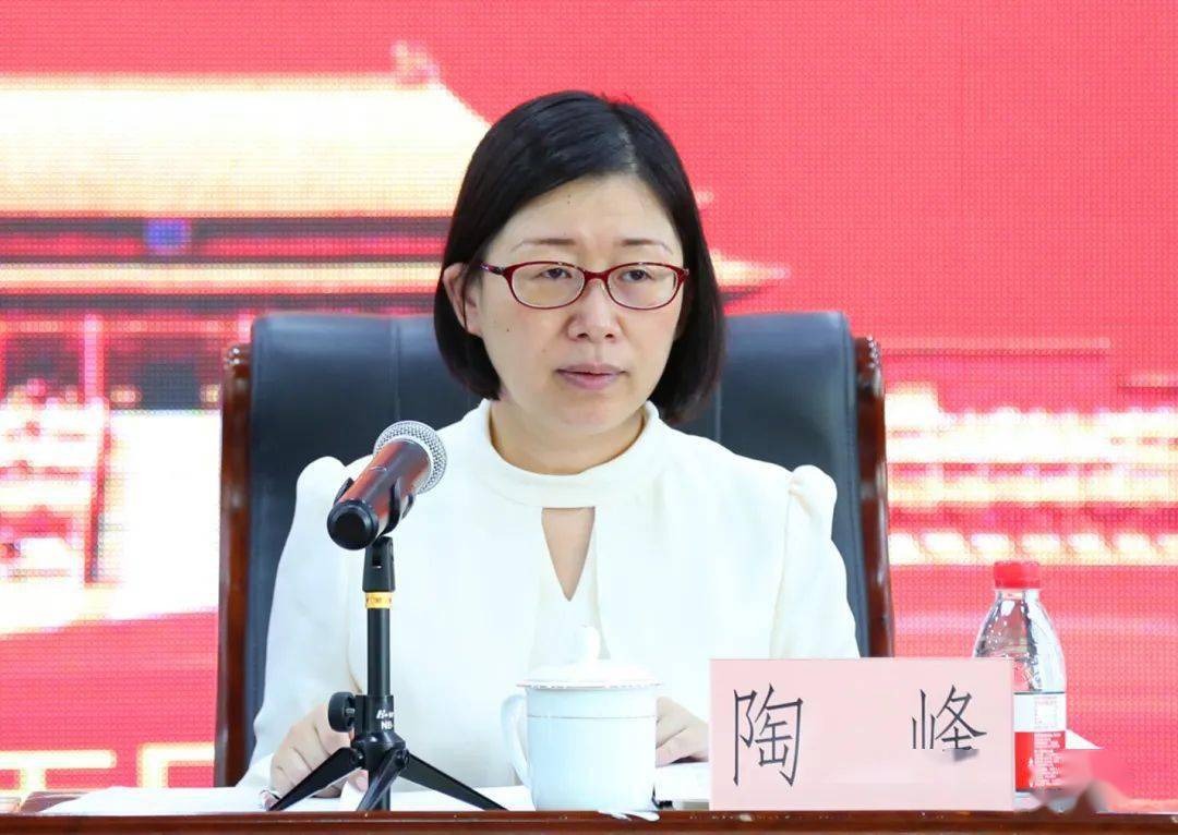 共话统战陶峰以侨为本为侨服务不断深化社区侨务工作