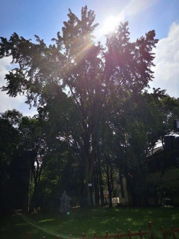 怀远一中副校长 马定:"我们学校是拥有近120年历史的皖北名校,能够和