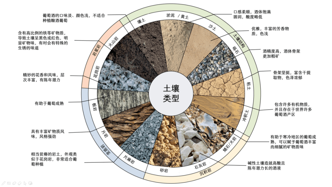 土壤对葡萄酒风味到底有没有影响?