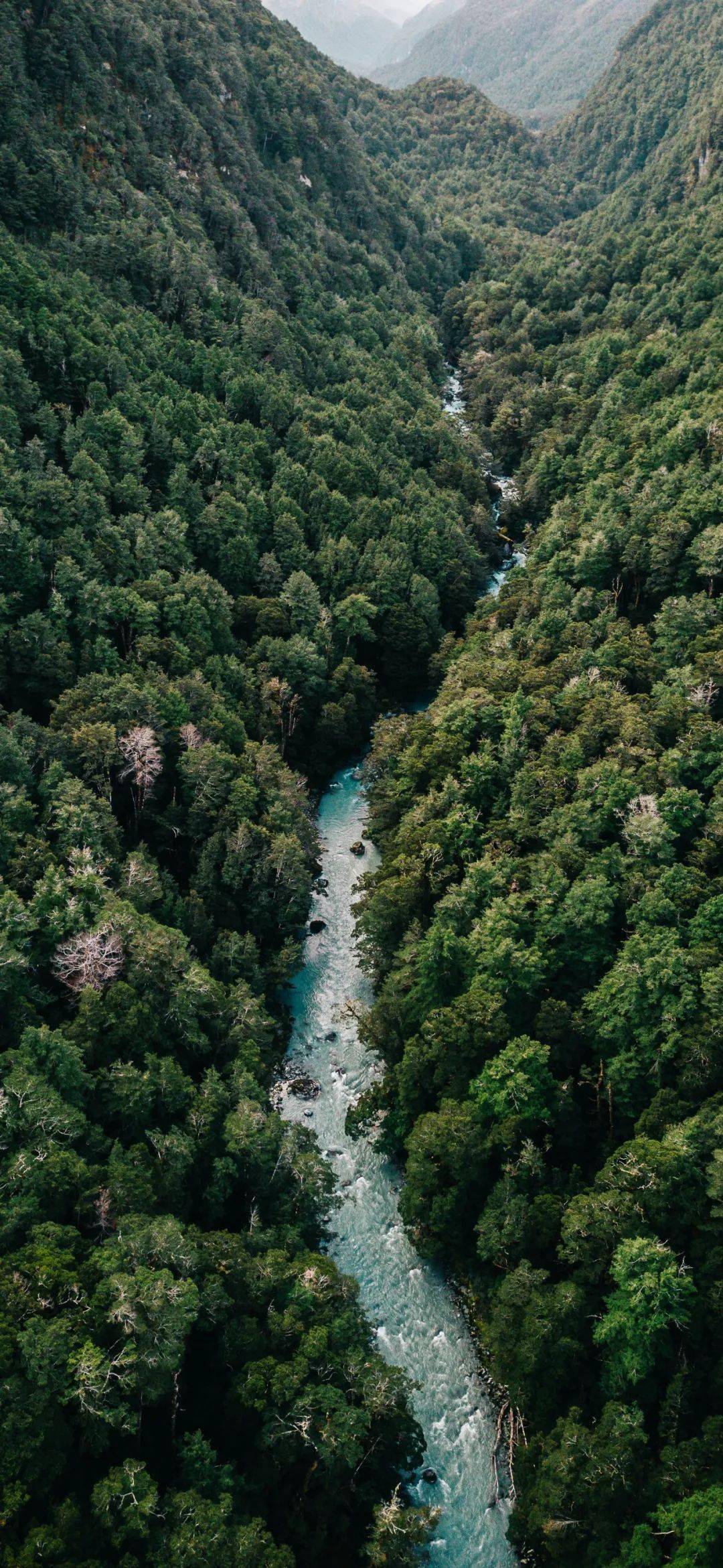 高清4k唯美小清新壁纸大图