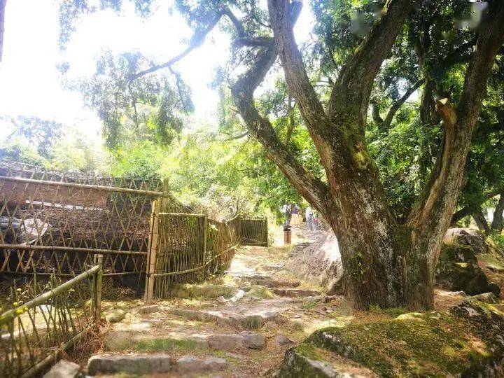 嵊州市白雁坑村建成地质文化村从此走上一条美丽致富路