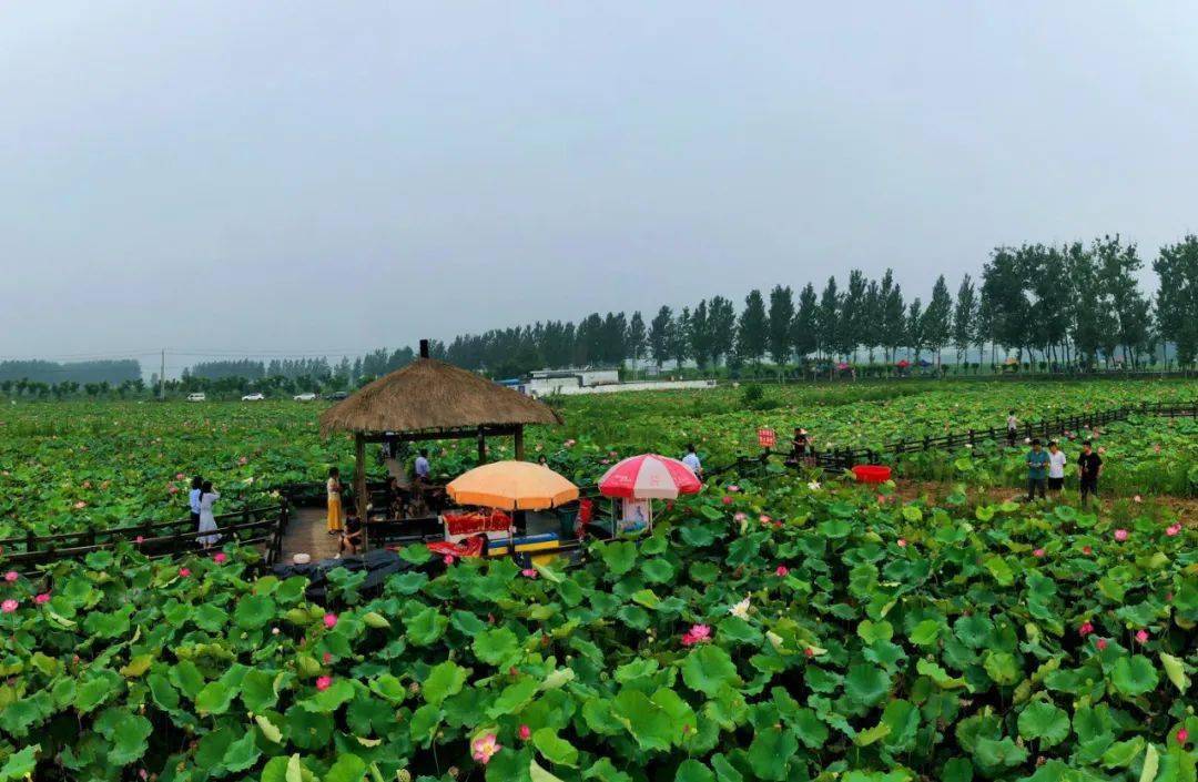 涡阳县辉山村旅游图片