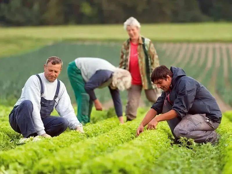 案例解读德国农村为何被称为中国乡村振兴的标杆
