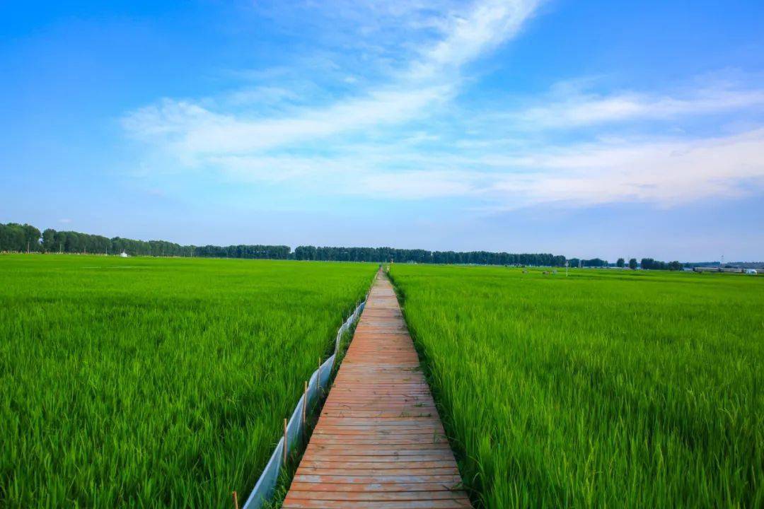 万亩稻田近年来,兴安盟大力推动生态文明建设,盟委,行署在自治区率先