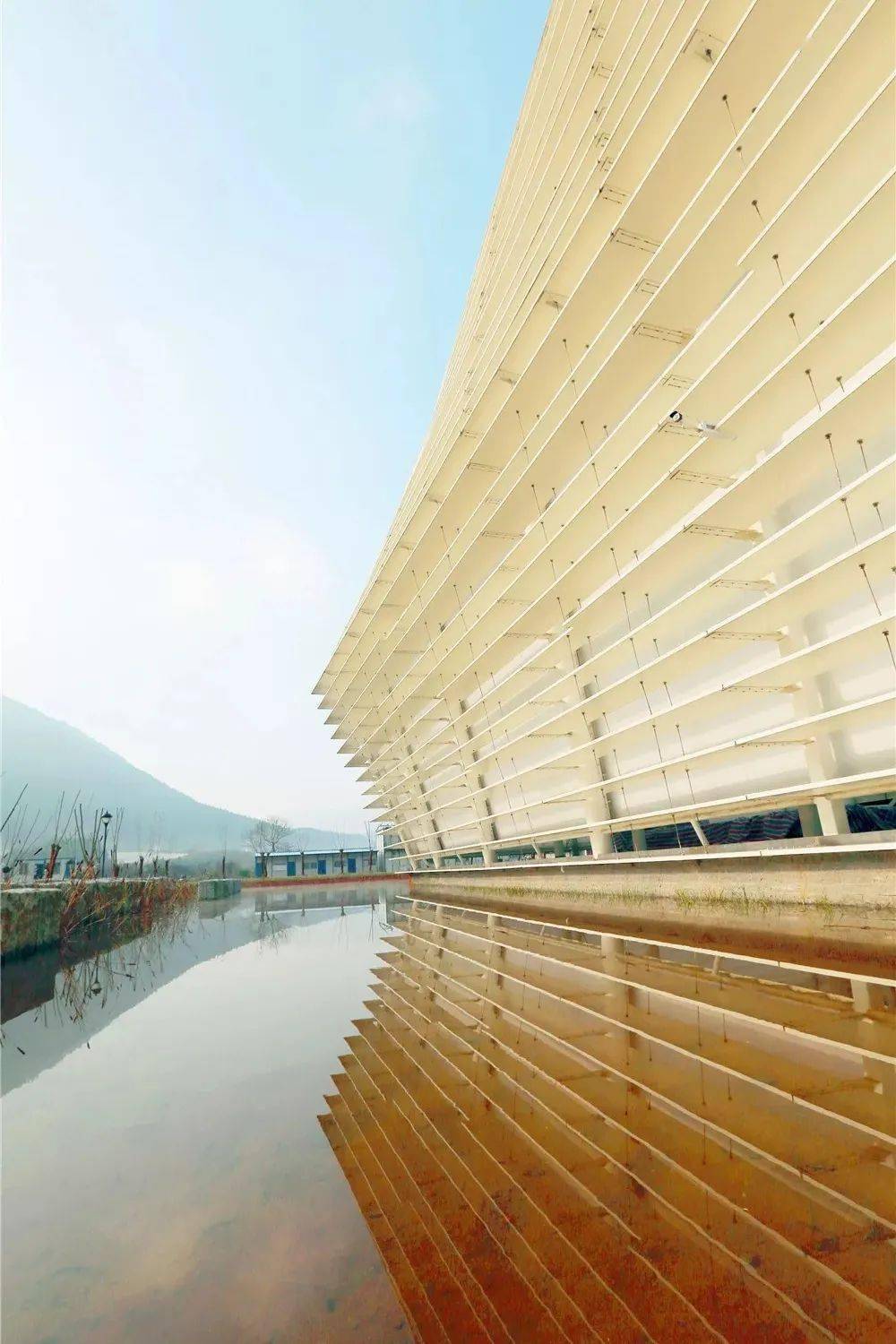 宣为人知闻蜂而动打卡泾县网红宣纸博物馆