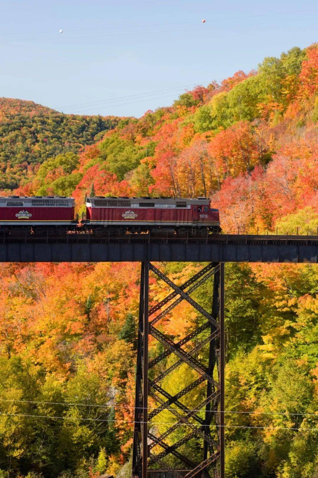 marie乘坐阿格瓦峡谷观光列车agawa canyon tour train欣赏车窗