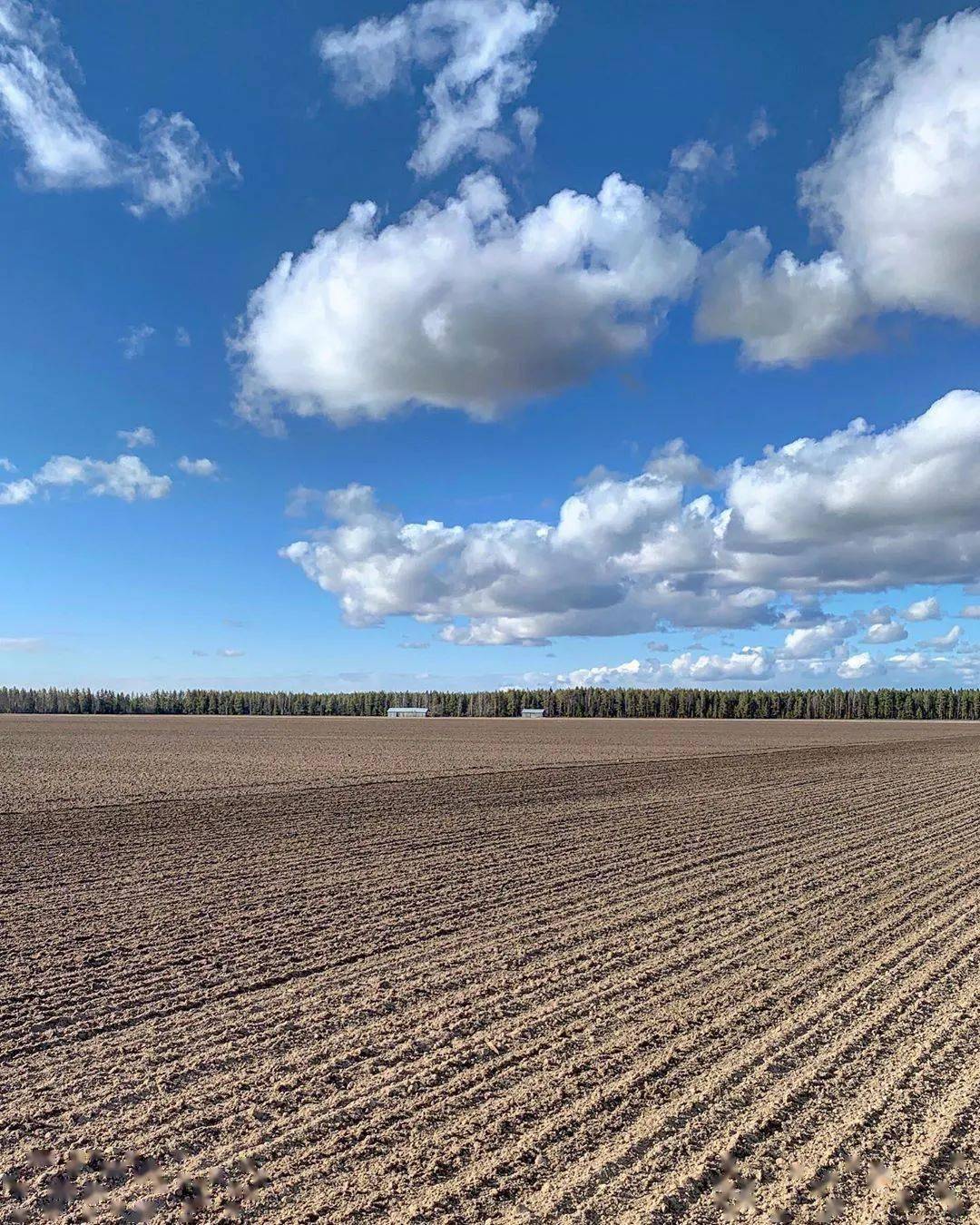 多彩平原,如画风光