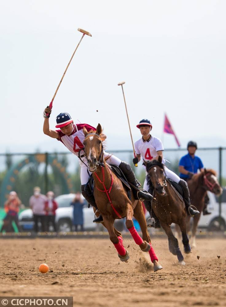 内蒙古马球表演赛在呼和浩特举行