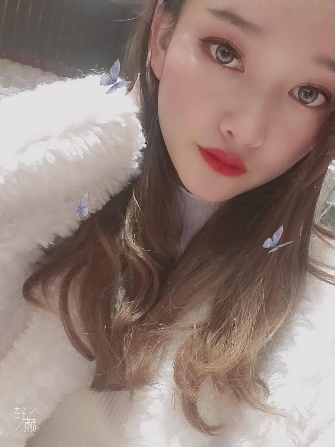 全国宝马4s店花图鉴西区