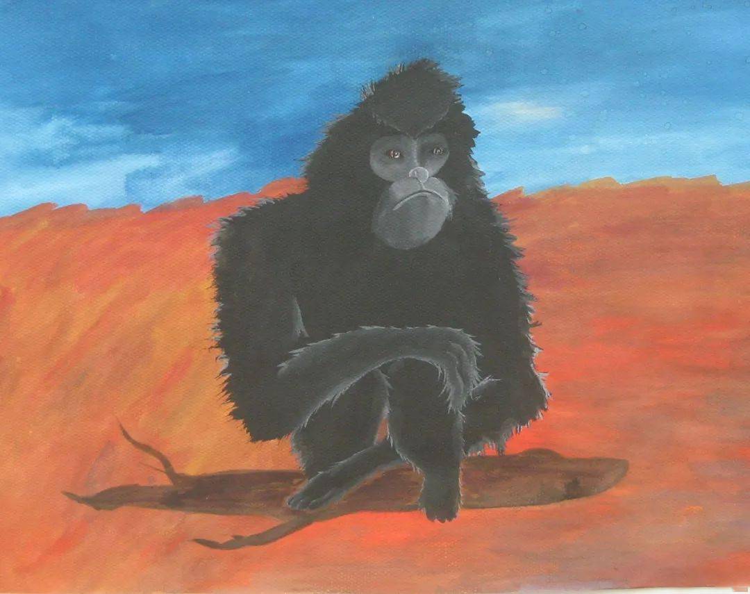 当年画长臂猿的那个男孩现在学了美术专业