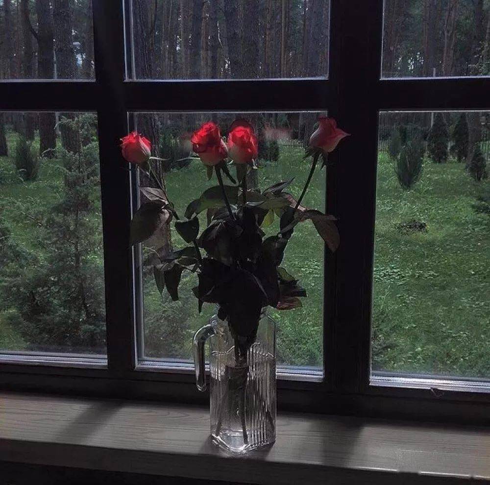 朋友圈背景图别以为钻进人群你就不孤独了