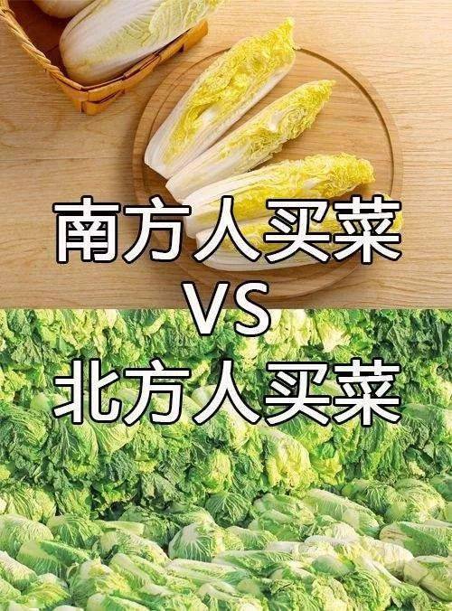 南方人vs北方人图片图片