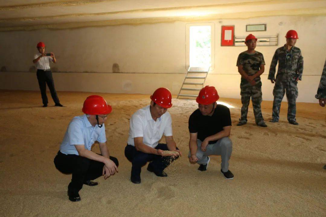 祝宏根来我区调研粮食和物资储备工作