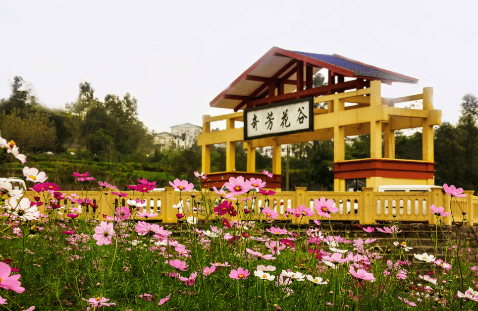 萬州區天城鎮大埡口萬州古紅桔主題公園aa地址:萬州區太龍鎮向坪社區