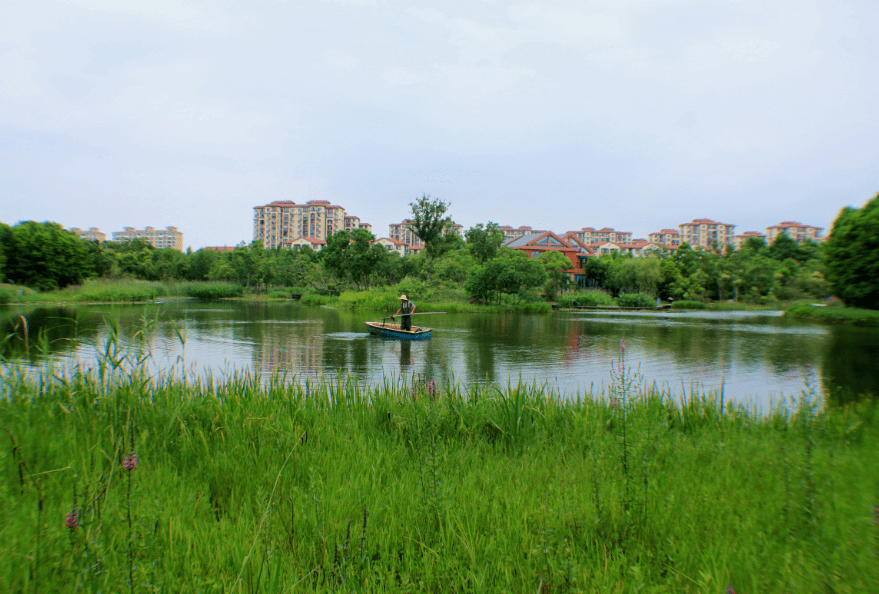 崇明的这两座岛屿,拥有你羡慕的"秘密花园"