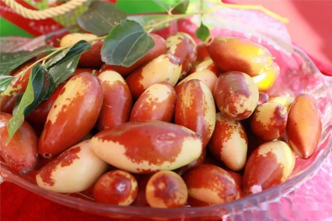 邢台人家乡的酸枣熟了北小庄邀您来尝鲜