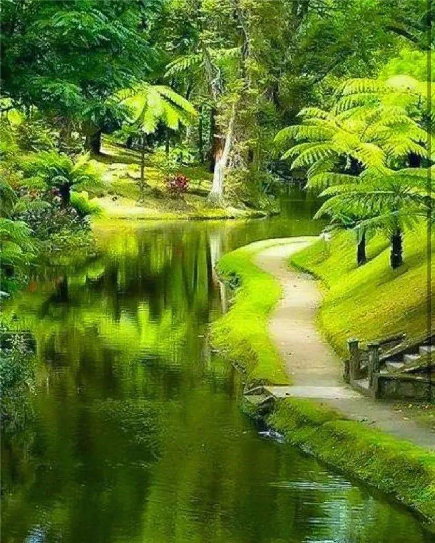 养眼风景图,眼睛累了就看看!