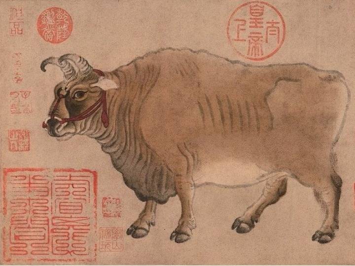 牛牛牛牛牛，牛！_手机搜狐网