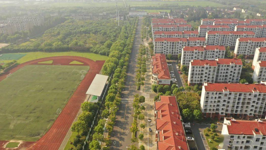 俯瞰叶榭不一样的美