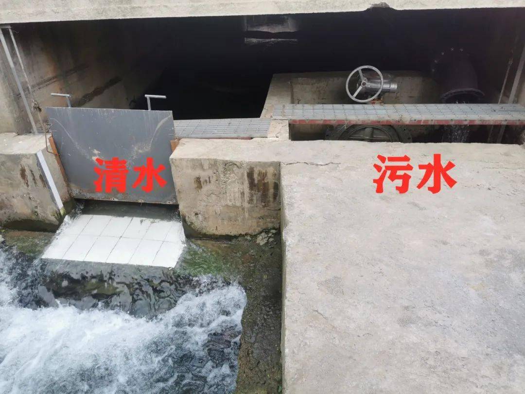 净化城市血脉我市企事业单位内部雨污分流改造工作有序推进