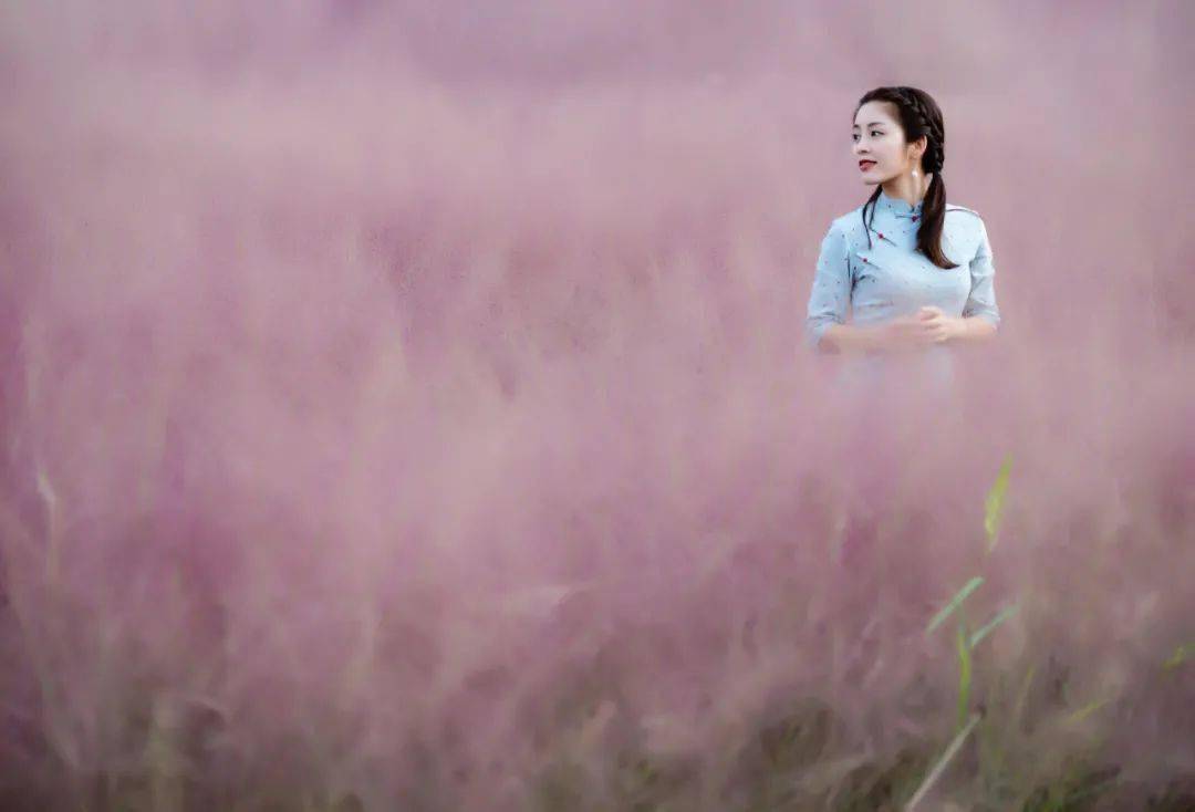 泰顺这里藏着一片粉红色的花海