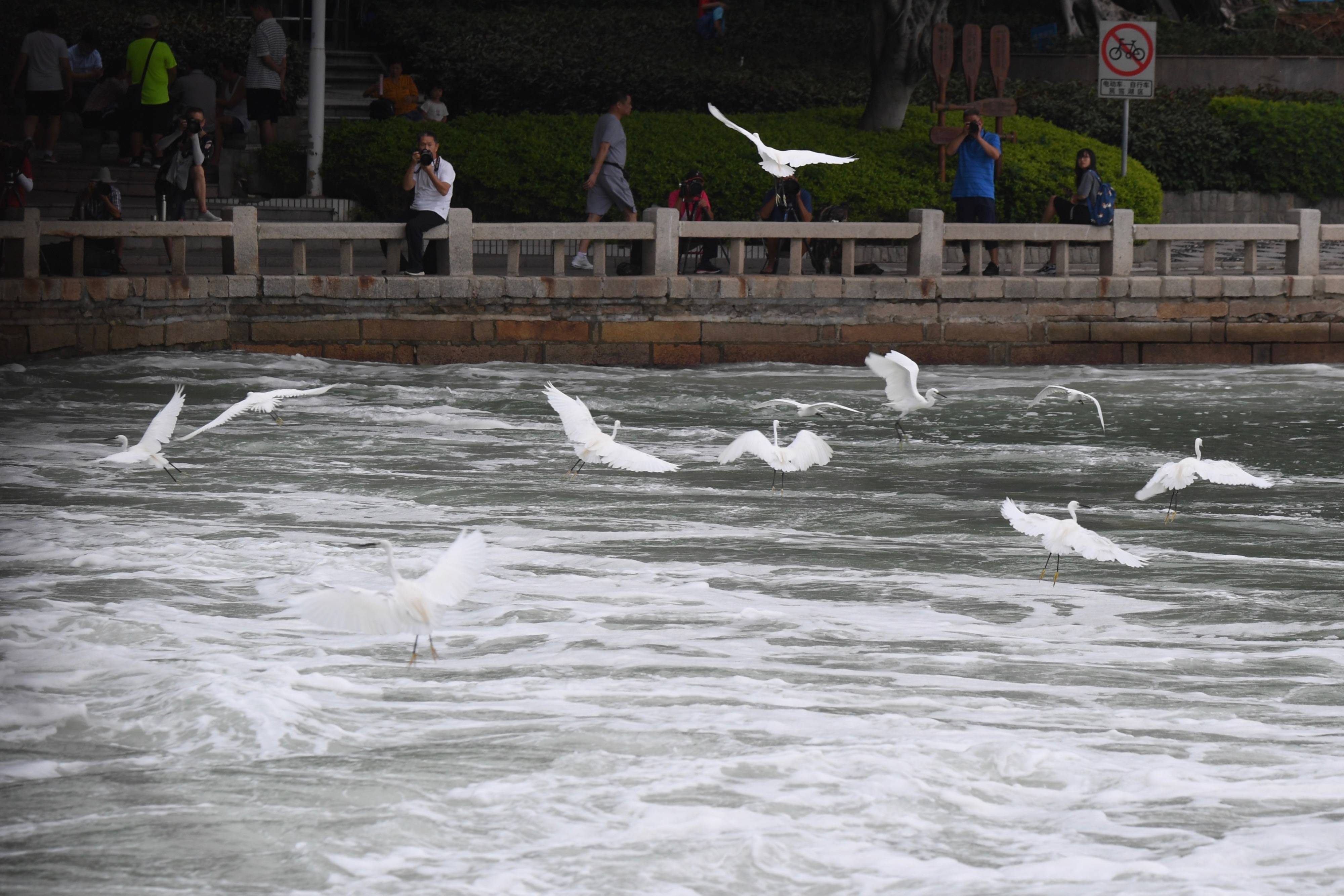 厦门筼筜湖生态"蝶变"_城市