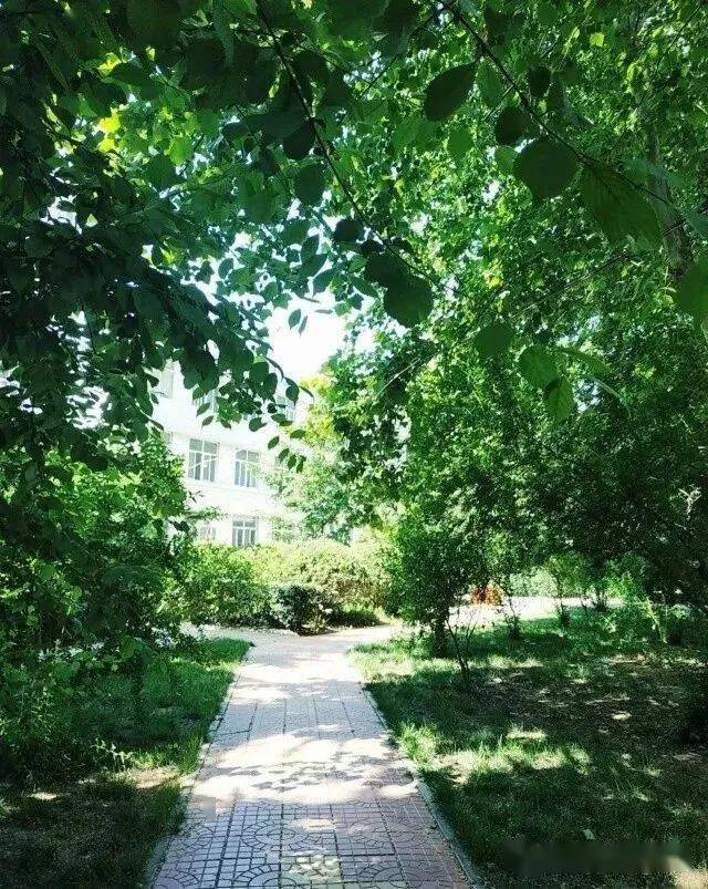 下一站,河北医科大学建华校区