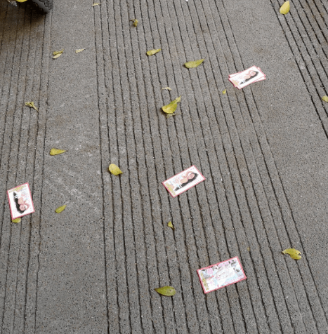 金港大道立交桥准备可以通车生活港这些辣眼睛的小卡片随处可见